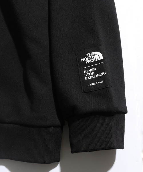 「THE NORTH FACE」 スウェットカットソー X-LARGE オートミール メンズ_画像4