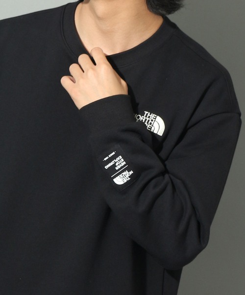 「THE NORTH FACE」 スウェットカットソー X-LARGE オートミール メンズ_画像9