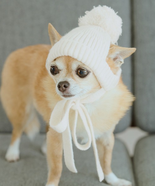 ROPE' PICNIC（ロペ ピクニック） 犬 服 「DOG」リブ切り替えニット