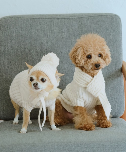 ROPE' PICNIC（ロペ ピクニック） 犬 服 「DOG」リブ切り替えニット