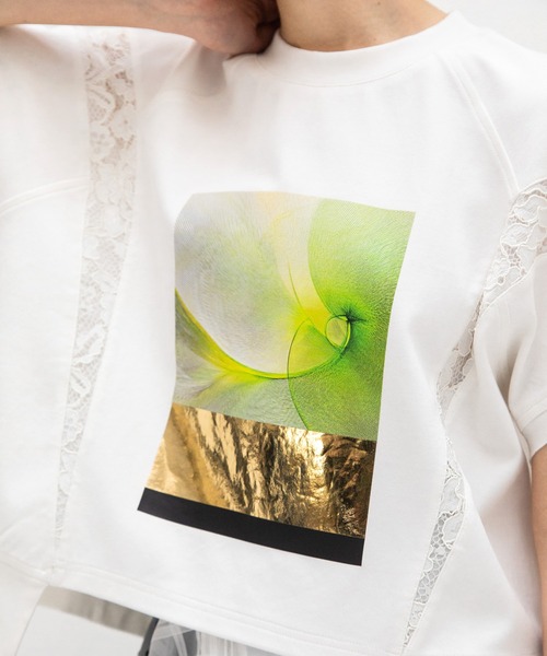AULA AILA tシャツ アンモナイトプリントTシャツ レディース