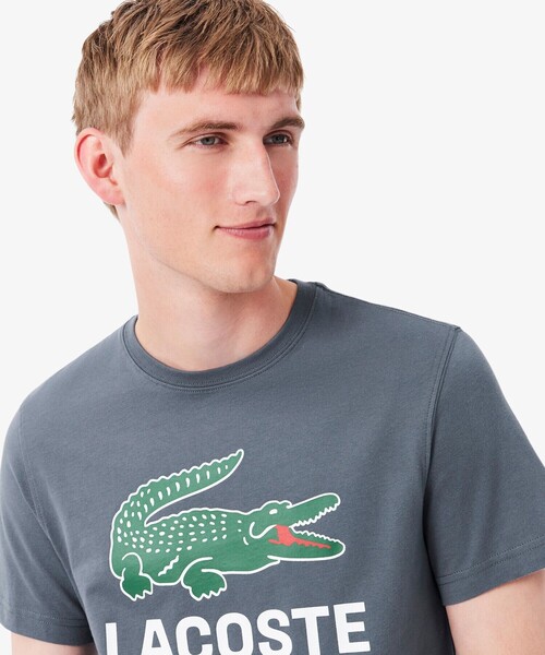 LACOSTE ラコステ ビッグロゴ Tシャツ 半袖 2枚セット LACOSTE（ラコステ） tシャツ ビッグワニロゴプリントTシャツ メンズ