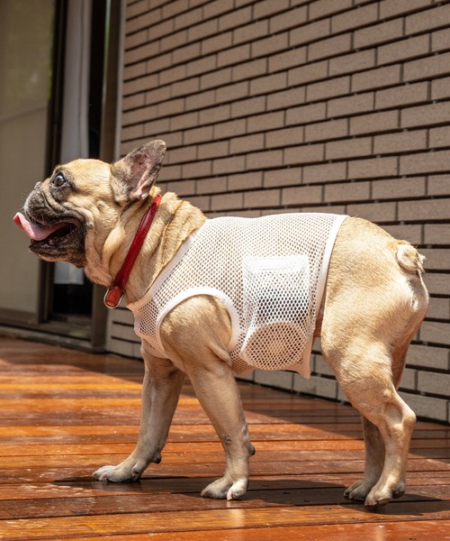 ONEKOSAMA OINUSAMA 犬 服 空調ペット服 -COOL DOG-（大きい