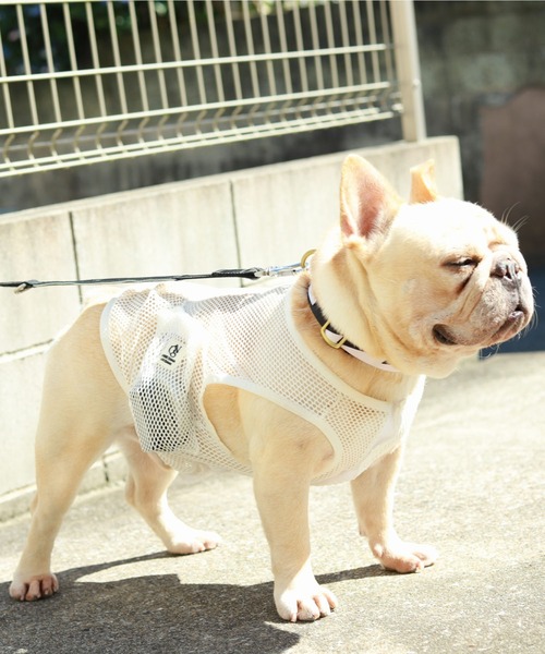 犬 服 空調ペット服 -COOL DOG-（大きいサイズ）の画像