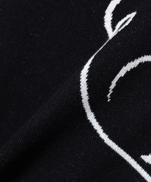 BEAMS GOLF（ビームス ゴルフ） セーター ニット ORANGE LABEL / リス