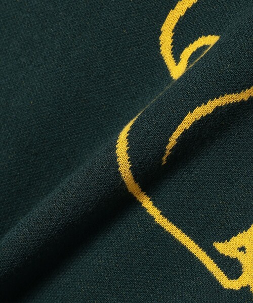 BEAMS GOLF（ビームス ゴルフ） セーター ニット ORANGE LABEL / リス