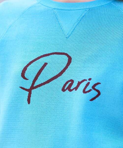 DRESSTERIOR（ドレステリア） ニット セーター 「洗える/オリジナル