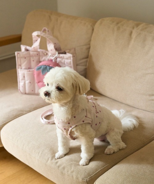 gelato pique ペットキャリー 「CAT＆DOG」「販路限定商品