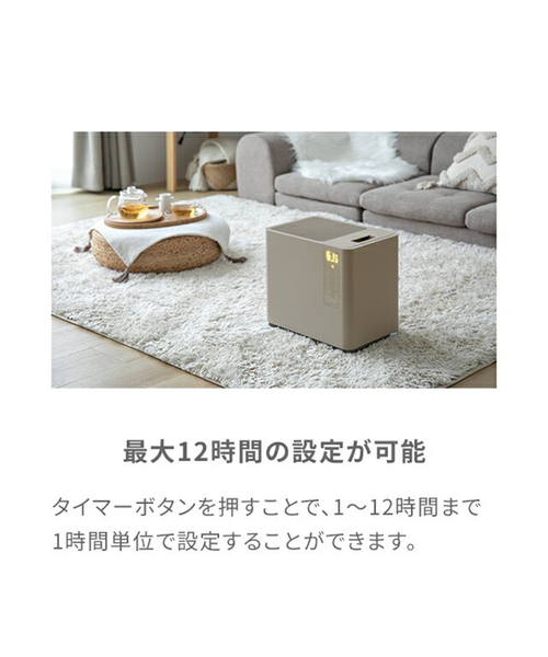 journal standard Furniture 家電 「AND DECO/アンドデコ」気化