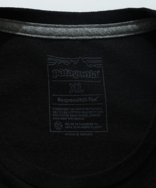 patagonia（パタゴニア） tシャツ 「Patagonia/パタゴニア」Flying