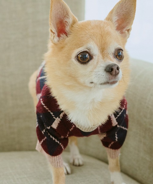 ROPE' PICNIC（ロペ ピクニック） 犬 服 「DOG」アーガイルニットプル