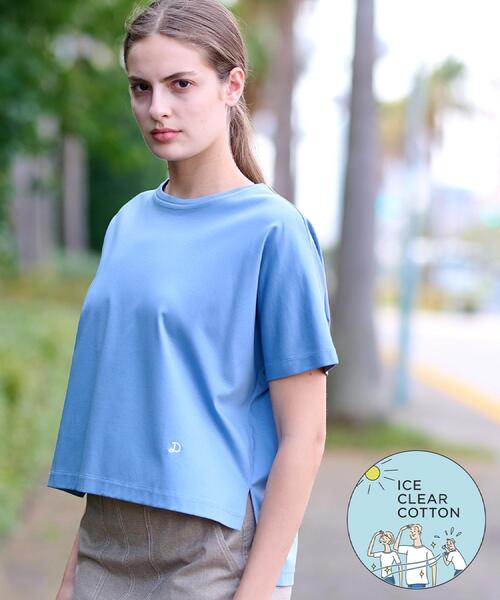tシャツ 「接触冷感/抗菌防臭/消臭」アイスクリアコットンドルマンボーダーT レディース DRESSTERIOR tシャツ 「接触冷感/抗菌防臭/消臭」アイスクリア