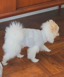 gelato pique 犬 服 「CAT＆DOG」「販路限定商品