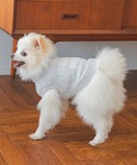 犬 服 「CAT&DOG」「販路限定商品」ベビ...の詳細画像1