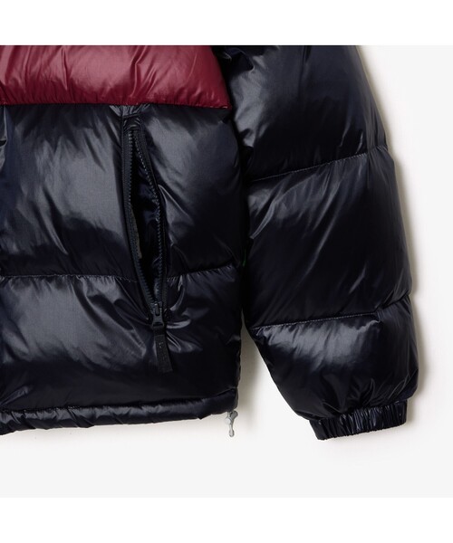 LACOSTE（ラコステ） ダウンジャケット 46 ダークネイビー メンズ