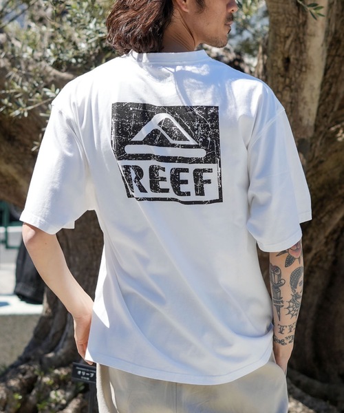 REEF（リーフ） tシャツ REEF BOX LOGO SS T Tシャツ 「2026年春夏