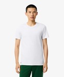 ラコステ tシャツ 「EC only」エッセン...の詳細画像3