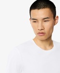 ラコステ tシャツ 「EC only」エッセン...の詳細画像4