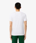 ラコステ tシャツ 「EC only」エッセン...の詳細画像5