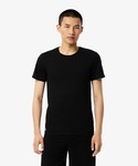 ラコステ tシャツ 「EC only」エッセン...の詳細画像1