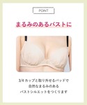 ブラジャー ショーツセット 「まる胸メイク」シ...の詳細画像2