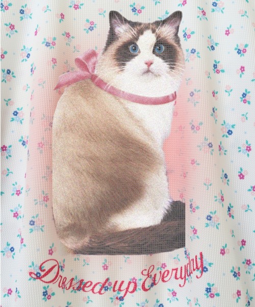 キャンディストリッパー 猫ブルゾン Mサイズ キャンディストリッパー 猫ブルゾン Mサイズ キャンディストリッパー