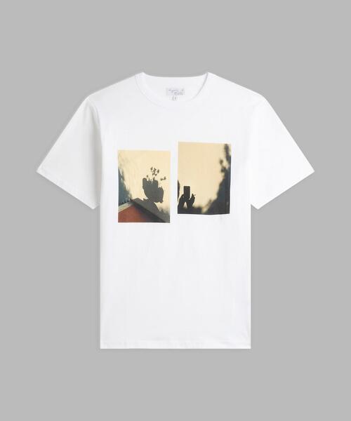 tシャツ コットン フォトプリント 半袖 Tシャツ ”Photo ombres”（ユニセックス） レディース メンズ