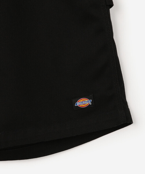 SEDAN ALL-PURPOSE パンツ | Dickies / Carpenter Wide Shorts