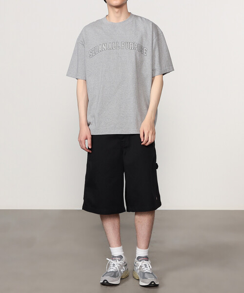 SEDAN ALL-PURPOSE パンツ | Dickies / Carpenter Wide Shorts
