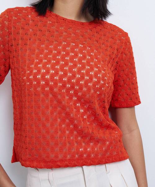 tシャツ シアーレースカットソー レディース