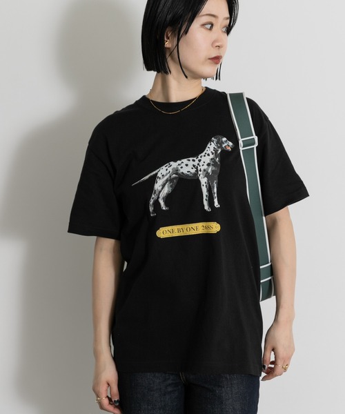 77サーカ 77circa（レディースTシャツ、カットソー）｜トップス