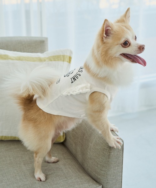 犬服♡ Ribon★6/2～6/8休み ROPE' PICNIC（ロペ ピクニック） 犬 服 「DOG」カレッジロゴプリント