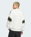 アディダス adidas パーカー スケートボ...の詳細画像3