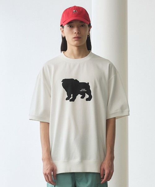 J.PRESS YORK STREET tシャツ 「UNISEX」ブルドックプリントリブ T