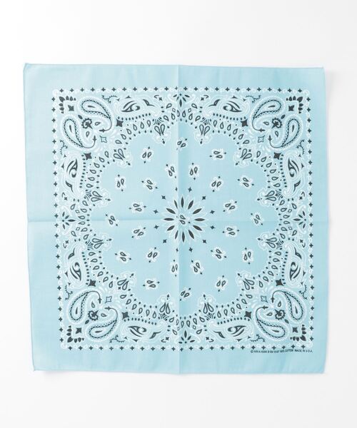 HAV-A-HANK（ハバハンク） スカーフ バンダナ ペイズリー バンダナ