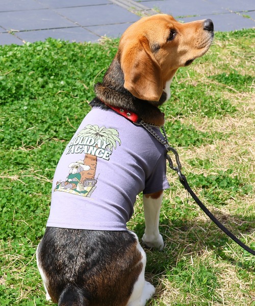 KRIFF MAYER Kid's Collection 犬 服 ウェットプロテクトT