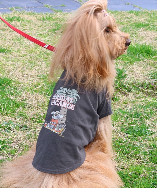 KRIFF MAYER Kid's Collection 犬 服 ウェットプロテクトT