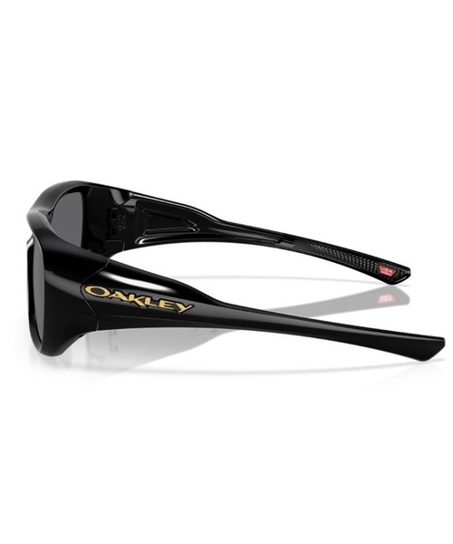 OAKLEY（オークリー） サングラス サングラス CHAMINADE プレイヤー