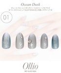 ネイルチップ ネイルシール Ollio(オーリ...の詳細画像2