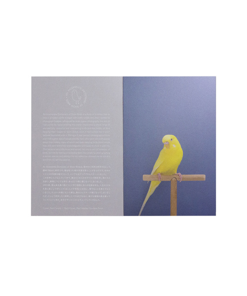 【美品】Luke Stephenson 作品集【希少本】 美品】Luke Stephenson 作品集【希少本】