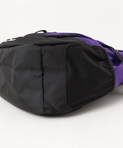 THE NORTH FACE（ザ ノースフェイス） デイバック リュック 「韓国限定