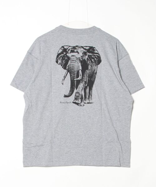 BANANA REPUBLIC（バナナリパブリック） tシャツ BANANA REPUBLIC
