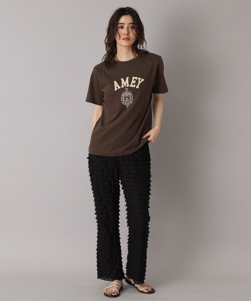 Americana アメリカーナ ロゴTシャツ ドレステリア DRESSTERIOR tシャツ Americana（アメリカーナ）「別注