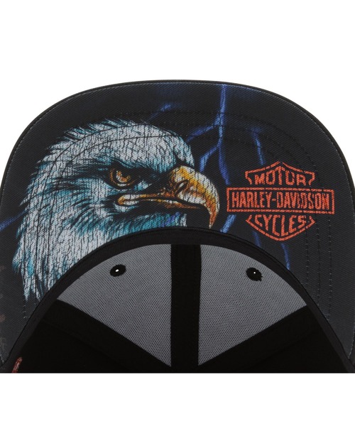 Harley Davidson（ハーレー・ダビッドソン） キャップ 帽子