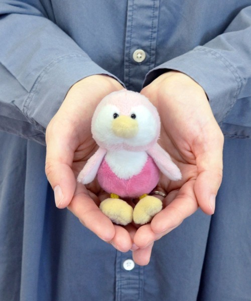 nici（ニキ） キーホルダー NICI/キーホルダー ヒヨドリ ロビン 2025