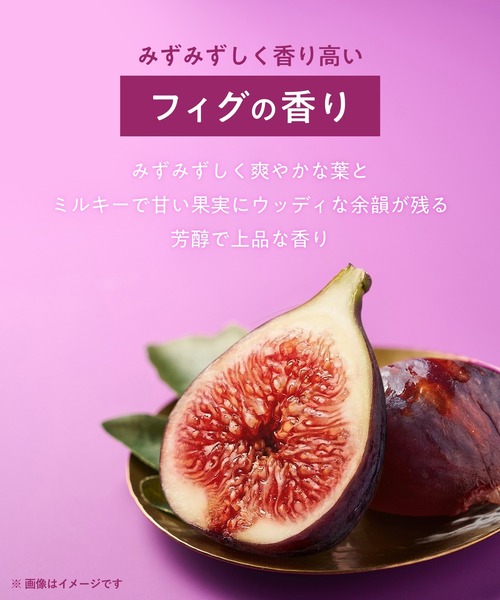 YOLU（ヨル） シャンプー 「数量限定」YOLU フィグ ナイトリペア