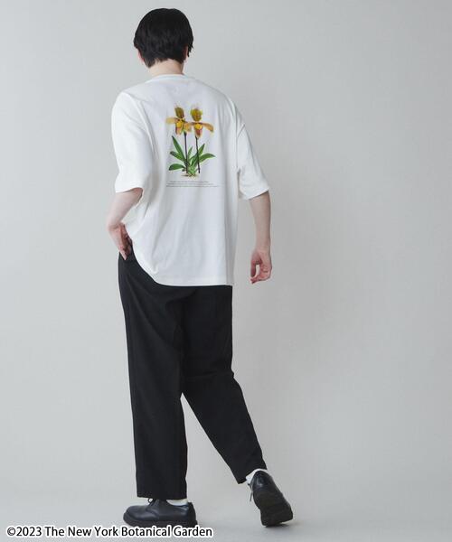「LUCY」 半袖Tシャツ「new york botanical gardenコラボ」 MEDIUM ホワイト メンズ_画像5