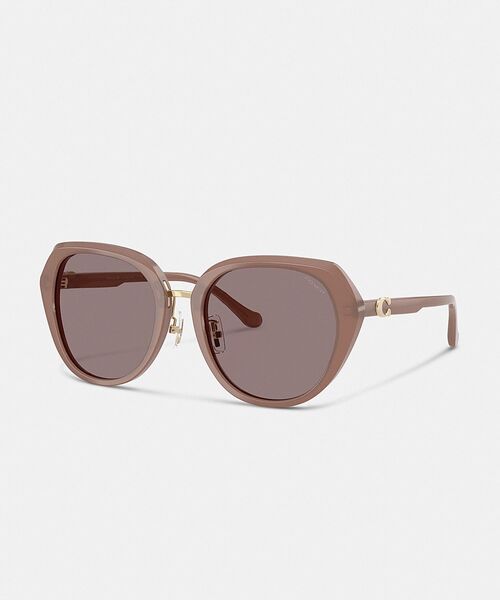 COACH レディースサングラス COACH（コーチ） サングラス マキシ スカルプテッド C オーバーサイズ