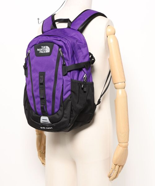 「THE NORTH FACE」 リュック FREE パープル メンズの画像