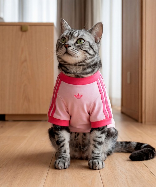 adidas（アディダス） 犬 服 ペット カリ Tシャツ / アディダス